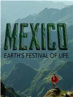 墨西哥：地球生命的狂欢